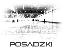 Posadzki